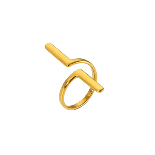 Anillo Estilo Egipcio Acero Inoxidable