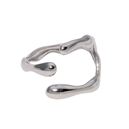 Anillo Plateado Estilo Naturaleza Muerta